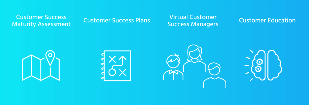 Customer success services infographic with icons.